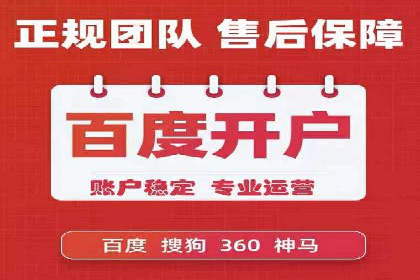 SEM实战案例：案例分析广告效果评估