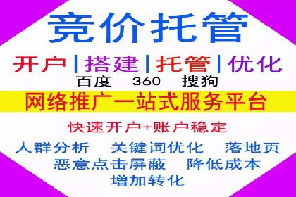 百度竞价推广运营实战技巧与经典案例剖析